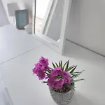 Il Sogno In Liguria