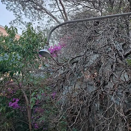 Ξενοδοχείο Il Sogno In Liguria Varazze