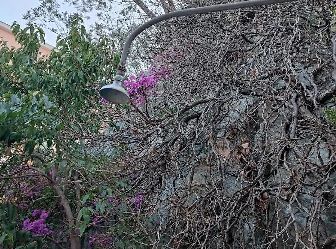 Hotel Il Sogno In Liguria Varazze